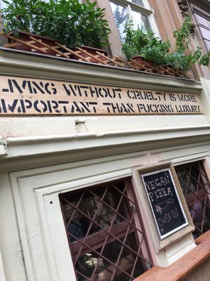 important message at Pizza Punk in Brno