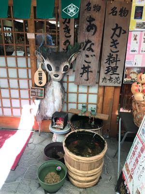 Very cute place at Flowers - Tachibana in Hiroshima