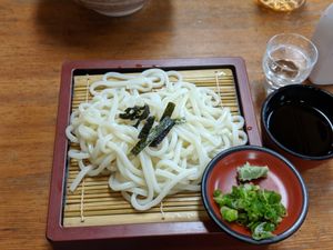 Vegan cold udon with dipping sauce (and sake!) at Flowers - Tachibana in Hiroshima