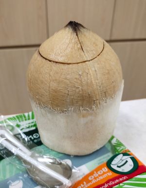 Thai fragrance coconut at CocoCane - Sengkang Square in Northeast Singapore