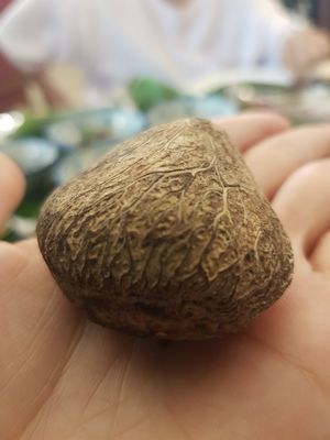 RAW buah kelauk at The Peranakan in Central Singapore