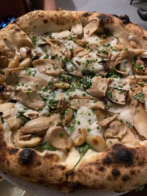   at Pizza Madre in Marrickville