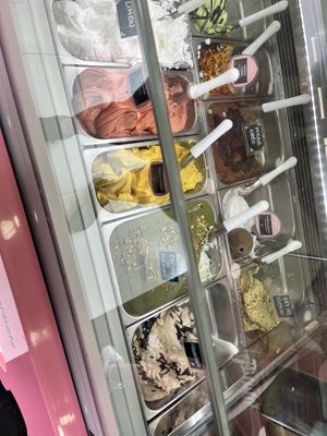 Vegan ice cream freezer  at Yummy Helados in Malaga