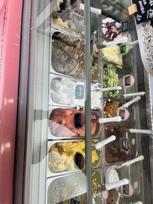 Vegan ice cream freezer  at Yummy Helados in Malaga