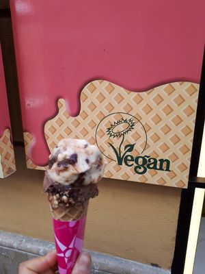 Vegan Ferrero rocher and Snickers! at Yummy Helados in Malaga