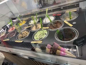 All vegan!  at Yummy Helados in Malaga