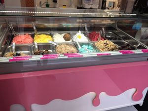 Another shot of the vegan fridge at Yummy Helados in Malaga