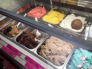 The vegan gelato fridge at Yummy Helados in Malaga