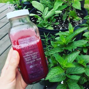 Spicy Summer Juice at ReU Juicery & Organic Kitchen in Troy
