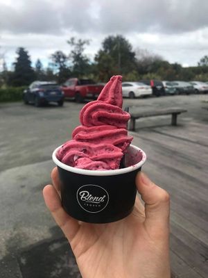 Had a few mouthfuls from the side but had to get a photo of the vegan fresh fruit ice cream!! Delicious and awesome to see  at Toad Hall in Motueka