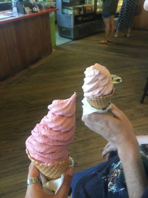 real fruit ice cream  at Toad Hall in Motueka