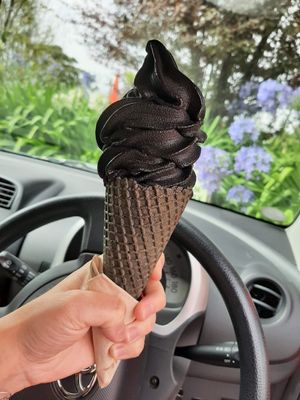  at Toad Hall in Motueka