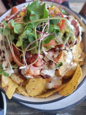  at Toad Hall in Motueka