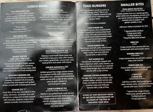 Lunch menu  at Toad Hall in Motueka