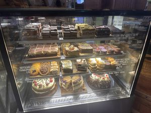   at Toad Hall in Motueka