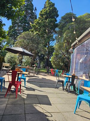  at Toad Hall in Motueka