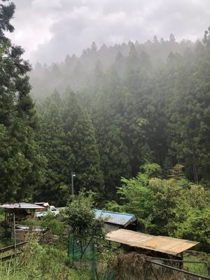 The view is breathtaking  at Engawa Cafe and Guesthouse in Wakayama