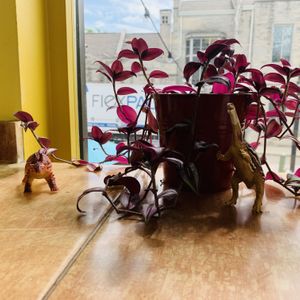 Ambiance  at Laughing Planet Cafe in Bloomington