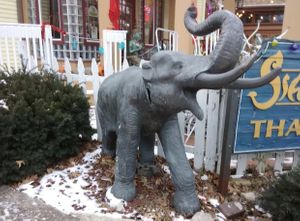 Mascot  at Siam House in Bloomington