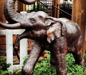 Elephant out front! at Siam House in Bloomington