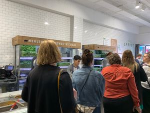Busy lunchtime at Sprout & Co - Baggot St in Dublin