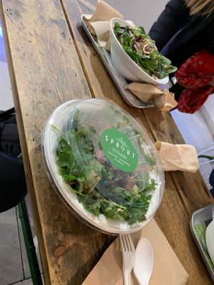 Communal eating at Sprout & Co - Baggot St in Dublin