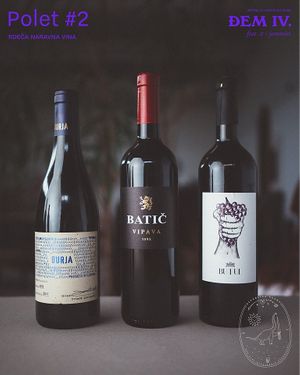 Slovenian natural wines.  at Kucha in Ljubljana