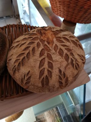 Nom nom at Kucha in Ljubljana