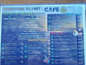 menu at Freediving Planet  in Moalboal