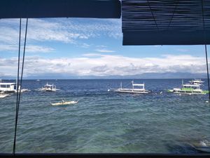 Breakfast with a view at Freediving Planet  in Moalboal
