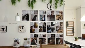   at Fast Vegan in Castelo Branco