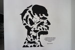 inside wall at Fast Vegan in Castelo Branco