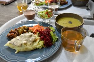 Pea soup and "shrimp" cocktail.
Beetroot and carrot, cauliflower pure and slated mushrooms. Mystery sauces (to me any way).
Chocolate mouse and tea of the day. at Fast Vegan in Castelo Branco