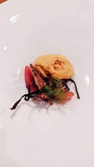 Starter at Achterwerk in Groningen