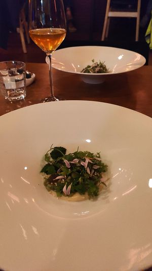 Cheesy risotto with herb salad at Achterwerk in Groningen