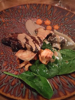 Mushrooms at Achterwerk in Groningen