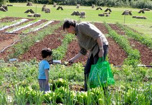 PeR natural farm. From the field, to the plate. at PeR - Parco dell'Energia Rinnovabile in Frattuccia
