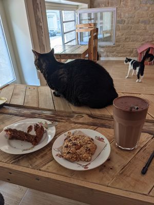 Carrot cake, cookie et chocolat froid at Au Bonheur des Chats in Lyon