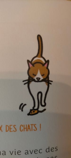  at Au Bonheur des Chats in Lyon