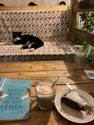Chai Latte & Carrot Cake  at Au Bonheur des Chats in Lyon
