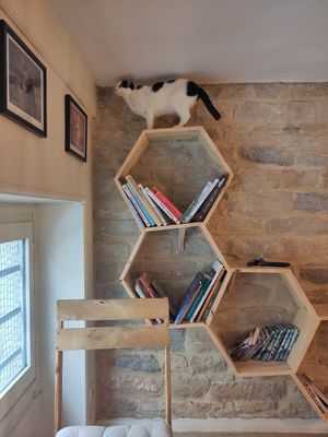 Cat on the first Floor 😺 at Au Bonheur des Chats in Lyon