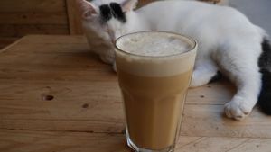 Almond milk based frappuccino and one of our adopted cat (not on site anymore) at Au Bonheur des Chats in Lyon