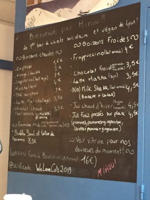 Les boissons at Au Bonheur des Chats in Lyon