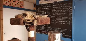 Menu with cat at Au Bonheur des Chats in Lyon
