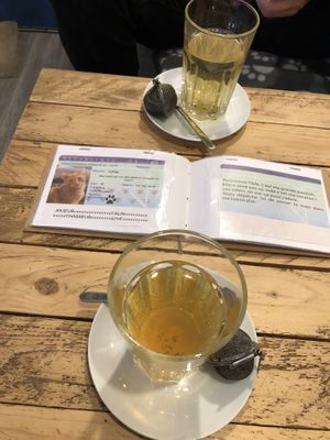 Delicious green tea at Au Bonheur des Chats in Lyon