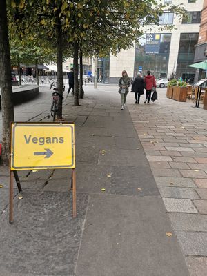 Vegans this way! at The Glasvegan in Glasgow