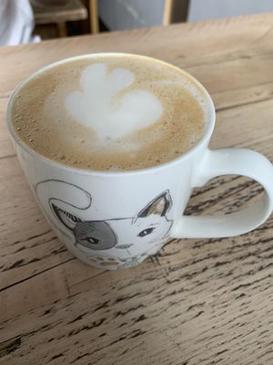 Cappucino with oat milk  at The Glasvegan in Glasgow