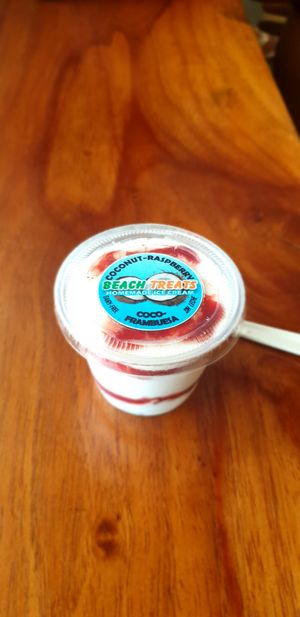 Coconut ice cream with raspberry at Almacen Organic & Natural in Tamarindo