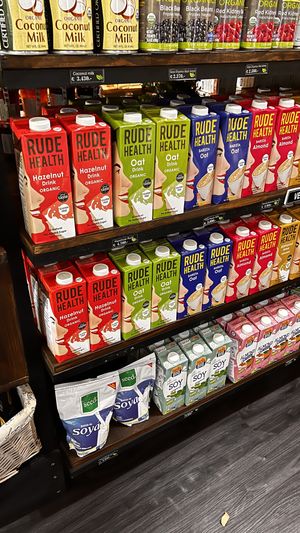 Plant based milks  at Almacen Organic & Natural in Tamarindo