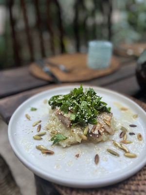  at TreeHouse La Selva in Playa Del Carmen